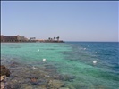 Coralreef Red Sea Hurghada 2009
